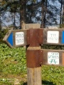 תמונה ממוזערת לגרסה מתאריך 06:23, 26 במרץ 2022