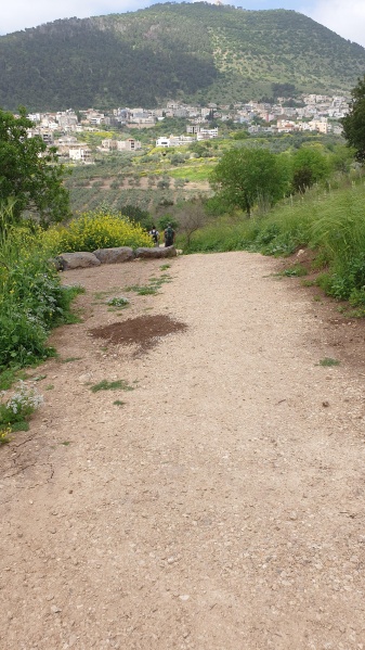 קובץ:2022-04-09T10 41 15.299852117002.jpg