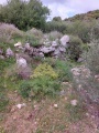 תמונה ממוזערת לגרסה מתאריך 06:04, 21 באפריל 2022