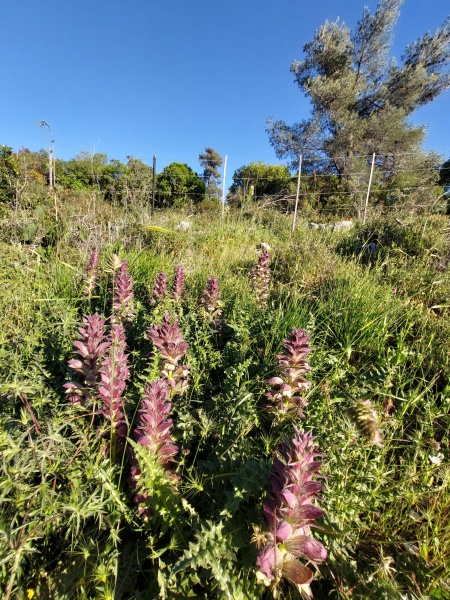 קובץ:2022-04-14T17 58 00.134745959234.jpg
