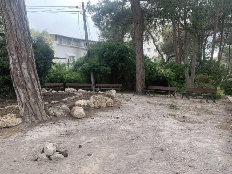 קובץ:2022-04-30T16 27 45.661407788733.jpg