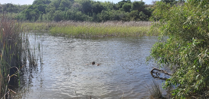 קובץ:2022-05-05T16 12 59.71195584484.jpg