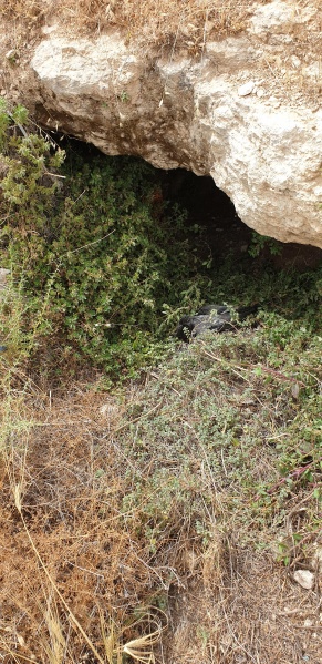 קובץ:2022-05-14T14 49 05.597838782655.jpg
