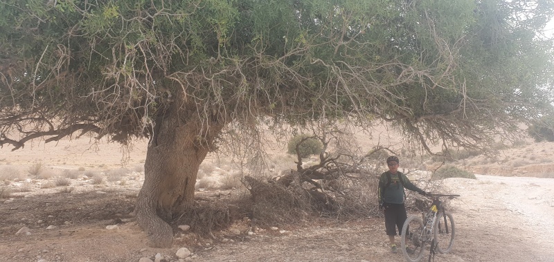 קובץ:2022-05-21T11 28 37.095559664682.jpg