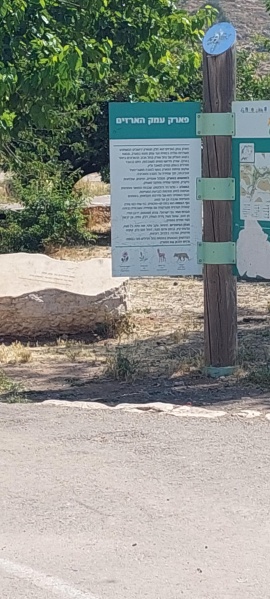 קובץ:2022-06-01T09 48 01.181647382674.jpg