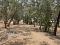 תמונה ממוזערת לגרסה מתאריך 10:01, 17 ביוני 2022