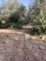 תמונה ממוזערת לגרסה מתאריך 14:59, 17 ביוני 2022