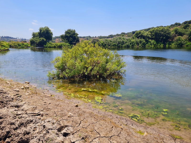 קובץ:2022-06-19T22 26 28.328486547902.jpg