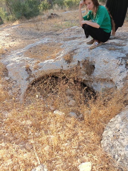 קובץ:2022-07-19T18 27 23.983581410666.jpg