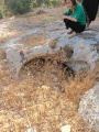 תמונה ממוזערת לגרסה מתאריך 15:25, 19 ביולי 2022