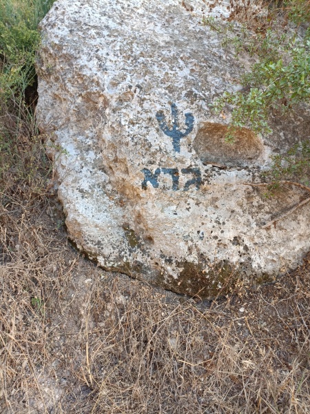 קובץ:2022-07-19T18 42 49.386249112108.jpg