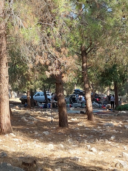קובץ:2022-08-08T17 00 46.231174708286.jpg