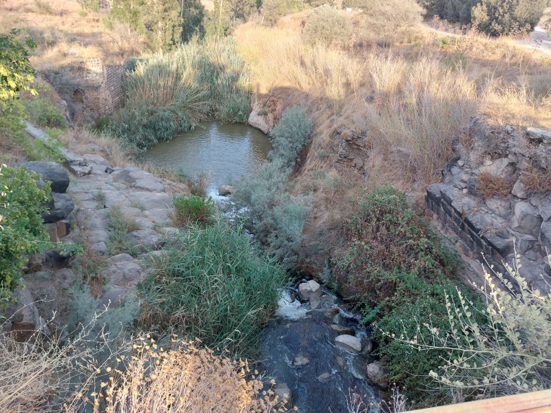 קובץ:2022-08-09T18 20 58.198139173972.jpg