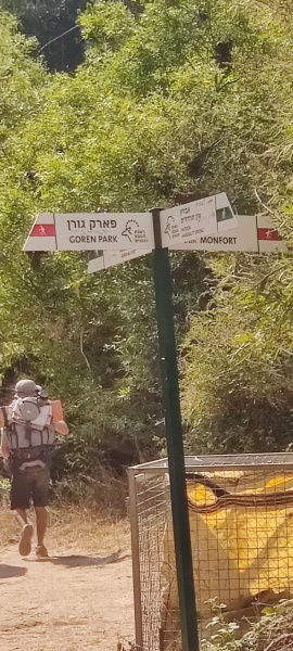 קובץ:2022-08-10T09 43 42.303673448742.jpg