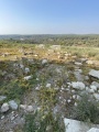 תמונה ממוזערת לגרסה מתאריך 13:47, 20 באוגוסט 2022