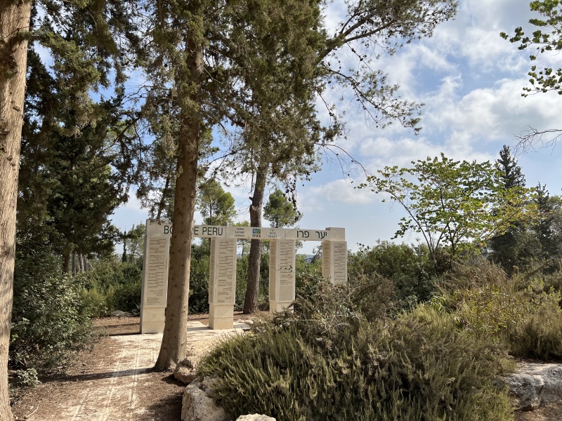 קובץ:2022-08-26T10 09 52.075445409929.jpg