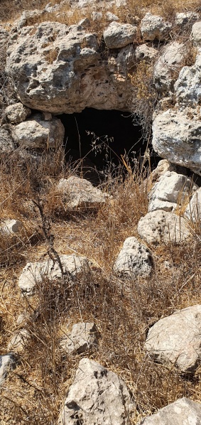 קובץ:2022-09-08T13 52 14.927462410646.jpg