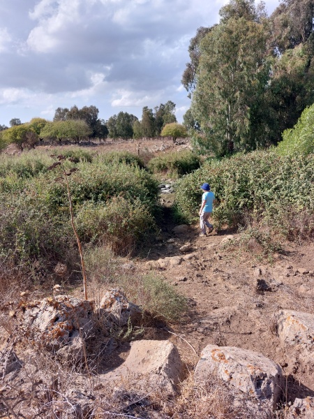 קובץ:2022-09-23T15 22 28.204045362988.jpg