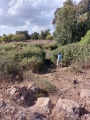 תמונה ממוזערת לגרסה מתאריך 13:07, 28 בספטמבר 2022