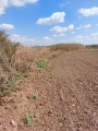 תמונה ממוזערת לגרסה מתאריך 08:00, 8 באוקטובר 2022
