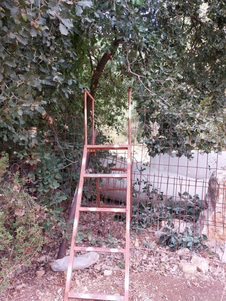 קובץ:2022-10-09T13 33 54.092619162721.jpg