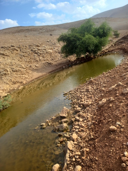 קובץ:2022-10-23T09 48 15.801213646029.jpg