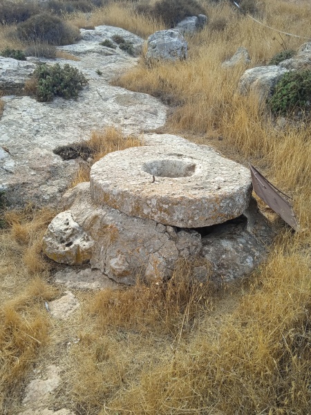 קובץ:2022-10-26T12 13 26.800054567192.jpg