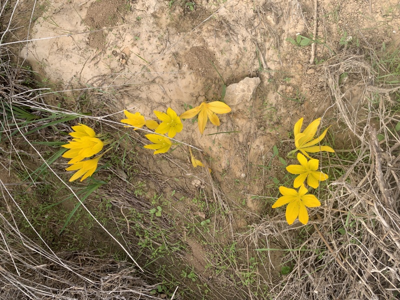 קובץ:2022-11-09T12 14 56.934454710750.jpg