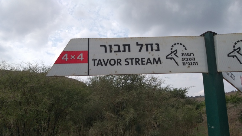 קובץ:2022-11-22T11 50 51.375929226884.jpg