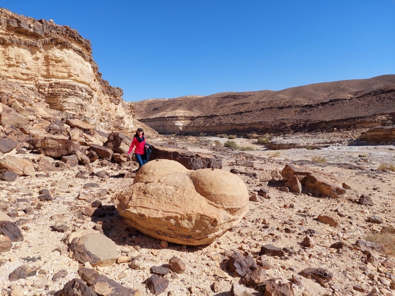 קובץ:2022-11-26T10 42 33.46312868349.jpg