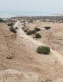 תמונה ממוזערת לגרסה מתאריך 11:41, 29 בנובמבר 2022