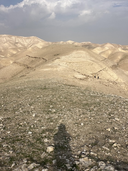 קובץ:2022-11-30T12 43 07.158313203066.jpg