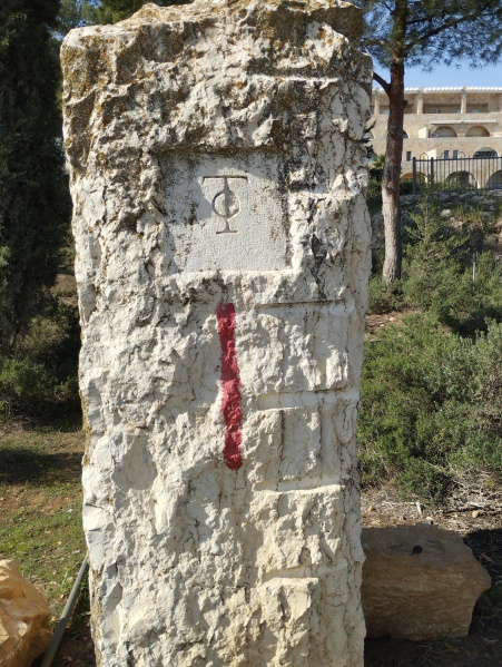 קובץ:2022-12-12T10 55 27.217816301386.jpg