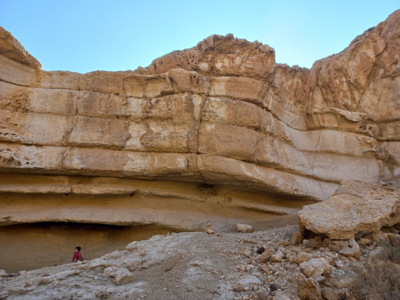 קובץ:2022-12-30T11 58 35.002246819379.jpg