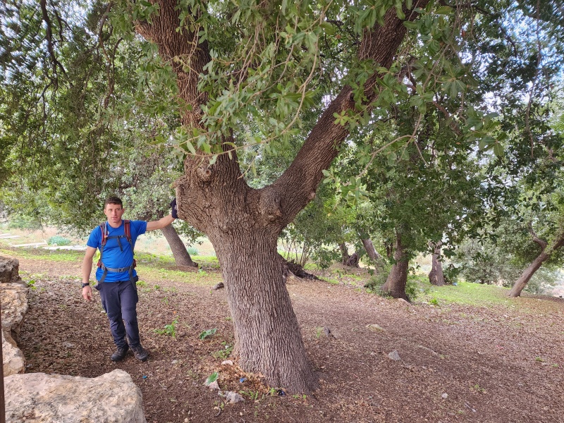 קובץ:2023-01-06T09 33 52.227333687201.jpg