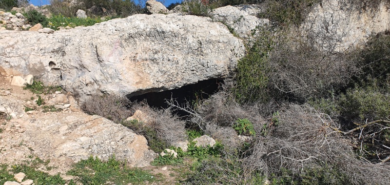 קובץ:2023-01-21T11 20 59.192767367257.jpg