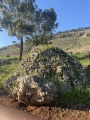 תמונה ממוזערת לגרסה מתאריך 05:59, 22 בינואר 2023