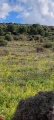 תמונה ממוזערת לגרסה מתאריך 14:28, 30 בינואר 2023