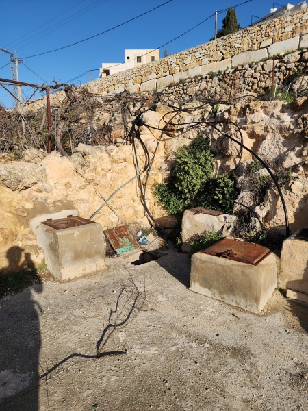 קובץ:2023-02-10T08 08 41.290422640268.jpg