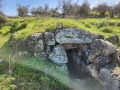 תמונה ממוזערת לגרסה מתאריך 11:40, 10 בפברואר 2023