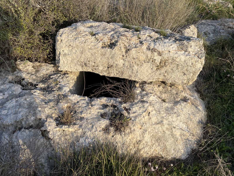 קובץ:2023-02-10T16 42 09.906872496384.jpg