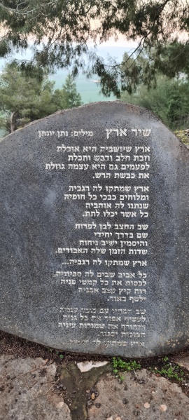 קובץ:2023-02-10T17 10 30.57935279420.jpg