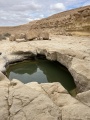 תמונה ממוזערת לגרסה מתאריך 11:34, 16 באפריל 2023