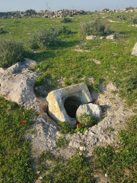 קובץ:2023-02-18T15 55 35.049571140296.jpg