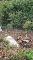 תמונה ממוזערת לגרסה מתאריך 13:26, 24 בפברואר 2023