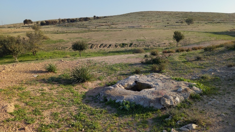 קובץ:2023-03-04T07 15 00.704022378558.jpg