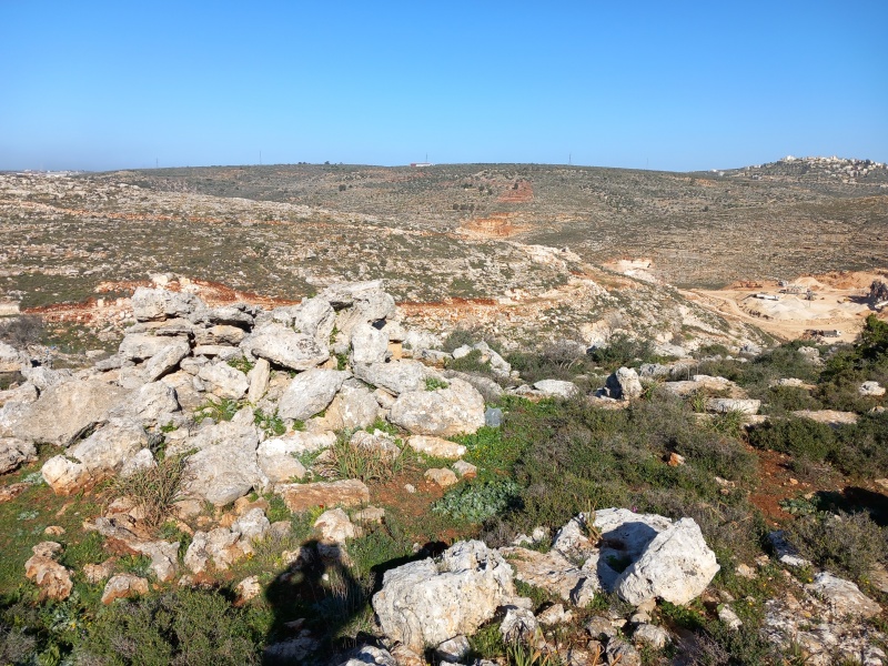 קובץ:2023-03-10T08 23 13.546130890825.jpg