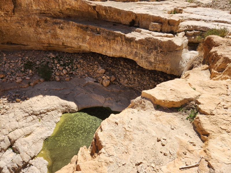 קובץ:2023-03-11T12 32 29.191110724965.jpg