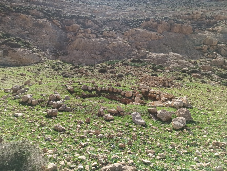 קובץ:2023-03-16T14 22 52.523989968701.jpg