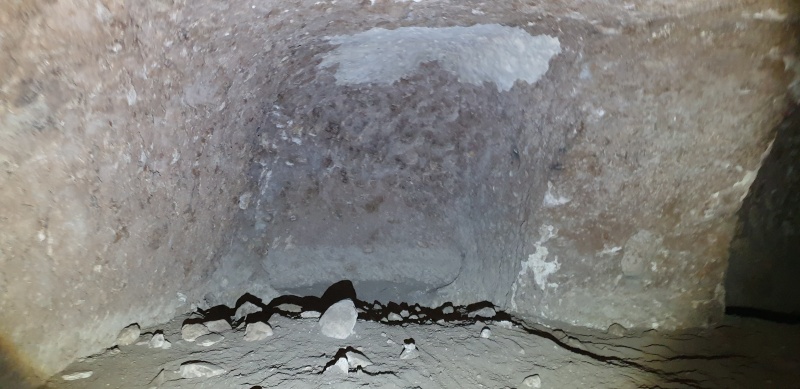 קובץ:2023-03-24T15 50 48.270636541386.jpg